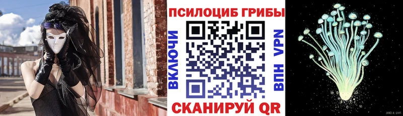 ссылка на мегу ТОР  Юрюзань  Псилоцибиновые грибы MAGIC MUSHROOMS  как найти  